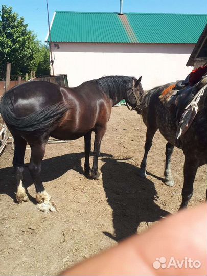 Продам бизнес