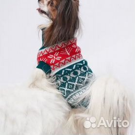 Современная модная одежда для собак