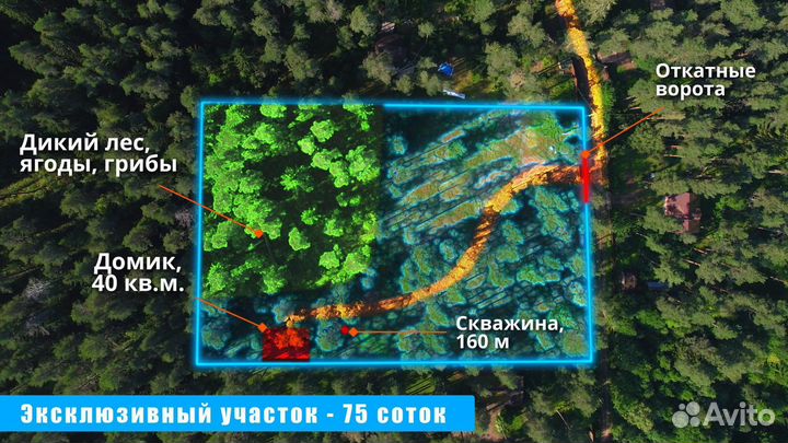 Съёмка с квадрокоптера/видеооператор