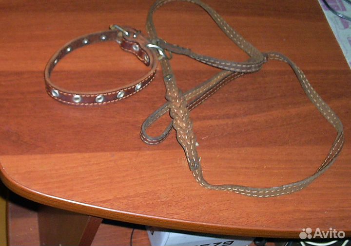 Ошейник с поводком (диаметр ош. до 40 см.)