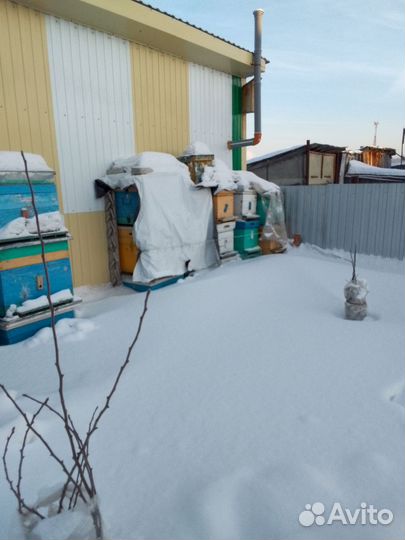 Улики для пчел