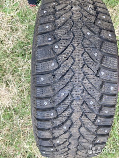 Formula Ice 205/55 R16 91T