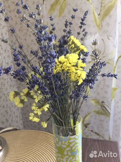 Сухоцветы для декора Лаванда Статица