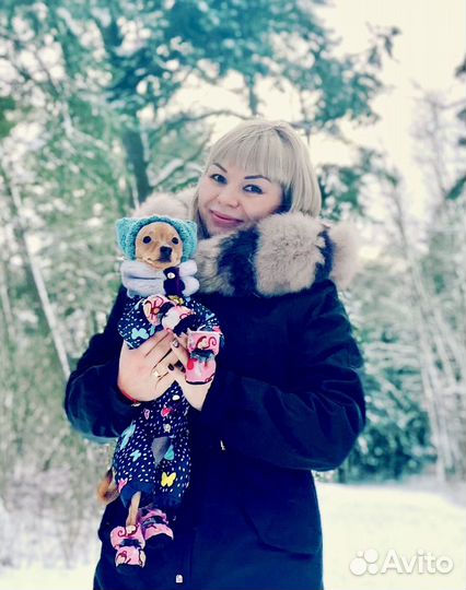 Зимний комбинезон для маленькой собачки