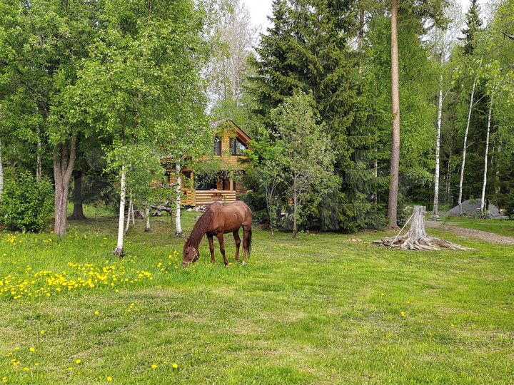 Дом 80 м² на участке 40 сот.