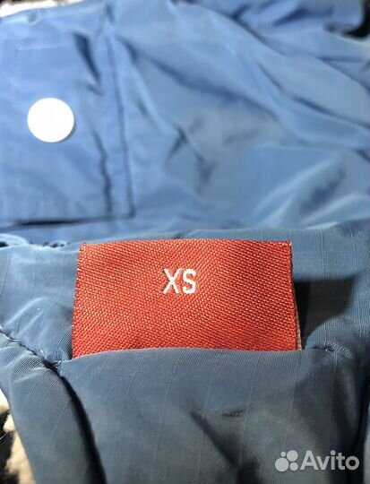 Одежда для собак мелких пород зима