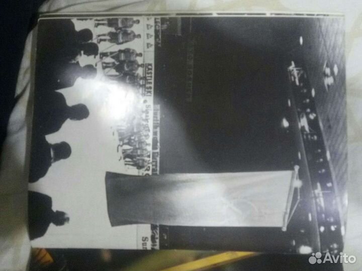 Ледовые рыцари