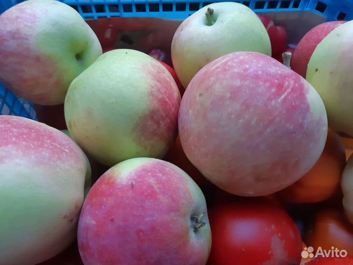 Домашние Яблоки, Десертный виноград,Помидоры
