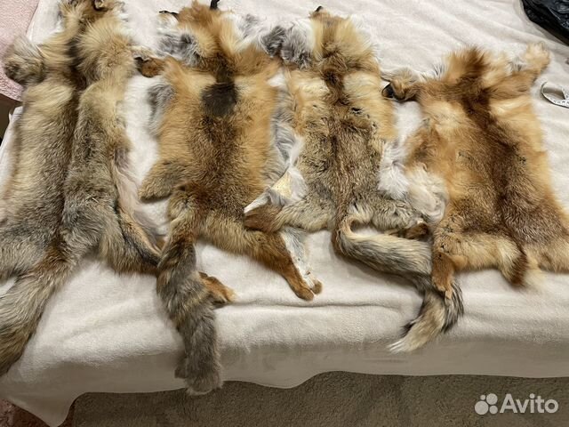 Шкурки лисы