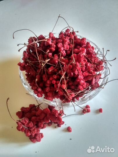 Лимонник Китайский Дальневосточный. Саженцы