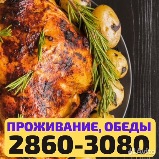 Выезд из Сызрани, вахта Пенза, упаковщик