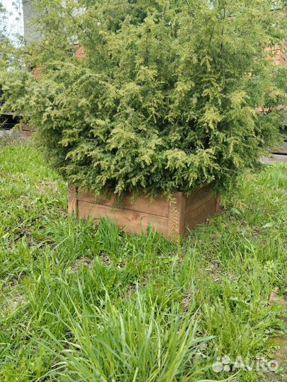 Кашпо из дерева