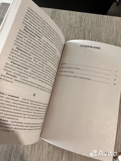 Учебное пособие Теория государства и права