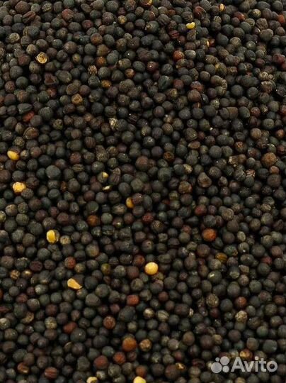 Зерно рапса.Хорошо подходит для корма птице