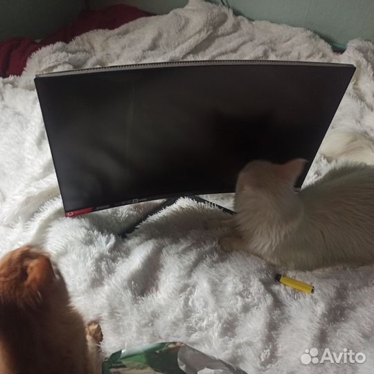 Монитор изогнутый