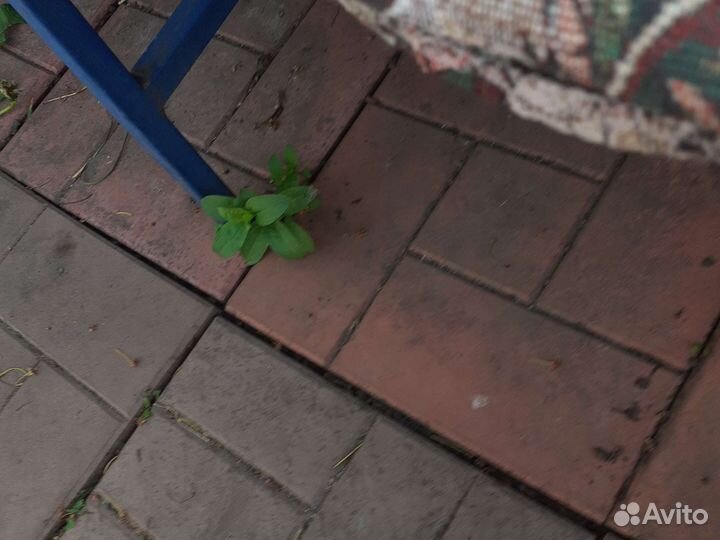 Дека для трюкового самоката