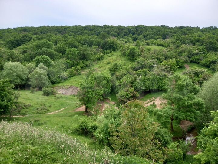 Участок 17,6 сот. (ИЖС)