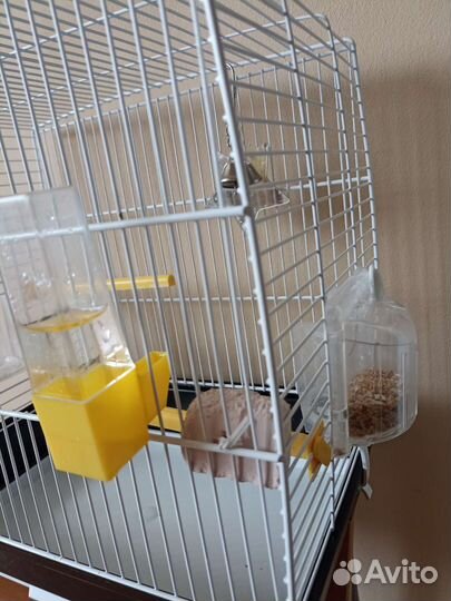 Клетка для попугая