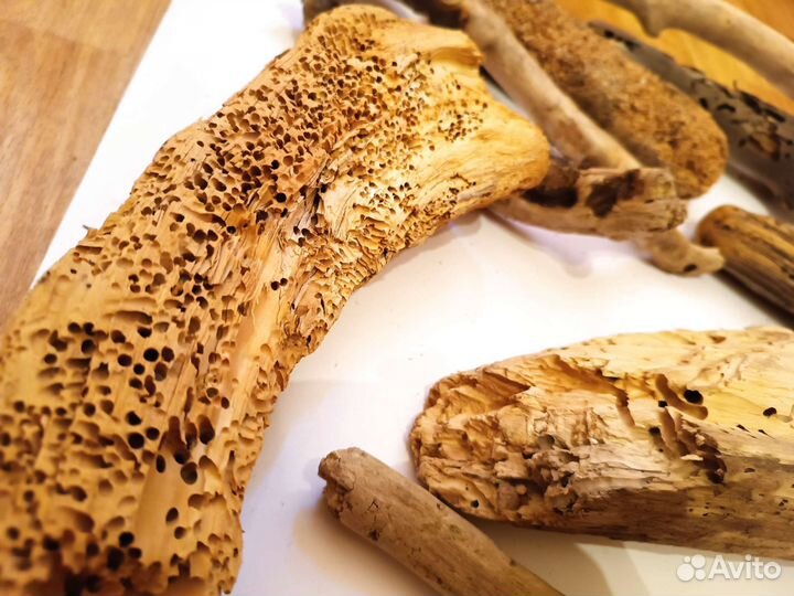 Коряги дрифтвуд, террариум,творчество, аквариум