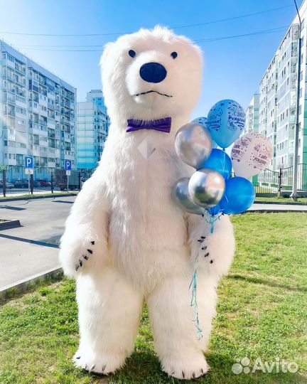 Аниматор мишка тедди