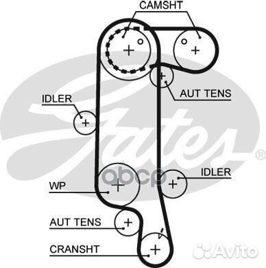 Ремень грм audi / skoda / VW 1.4-1.6 99-07 / 00