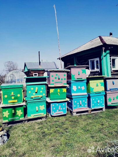 Улей, корус, магазин