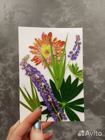 Фото открытки цветы отпечатки настоящих цветов