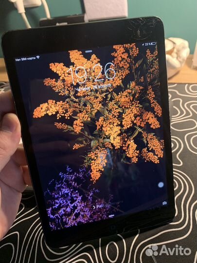 iPad mini