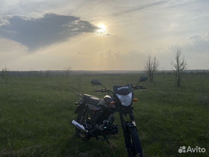 Мопед Alpha fx max 125(50)