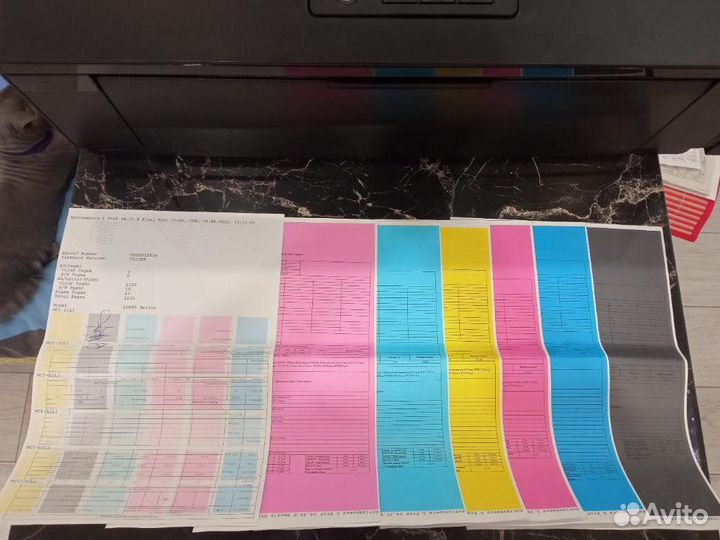 Принтер струйный Epson L1800