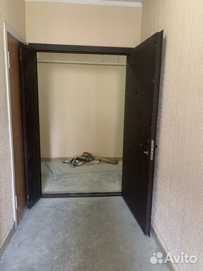 Тамбурная дверь