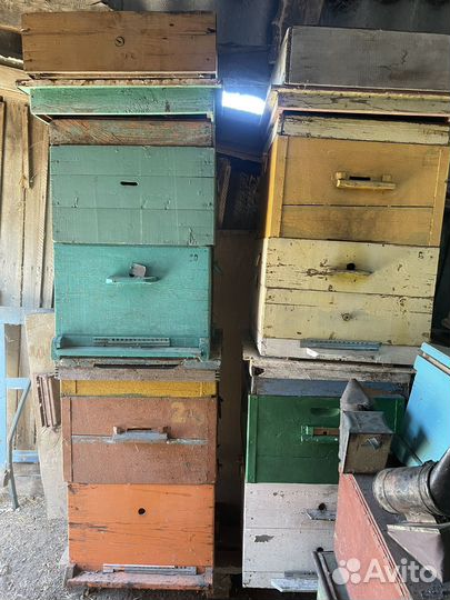 Улей для пчел бу