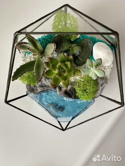Флорариум с суккулентами и водоемом