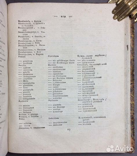 Амбодик-Максимович. Ботанический Словарь 1804 г