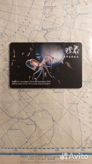 Тройка маленький гигант