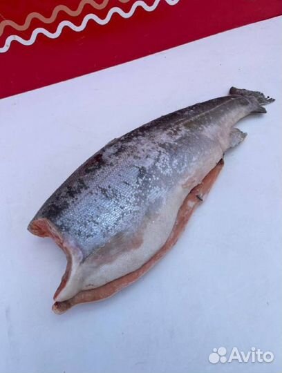 Форель свежемороженная