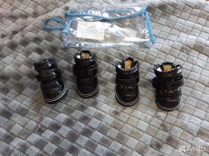 Обувь для маленьких собак