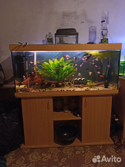 Аквариум