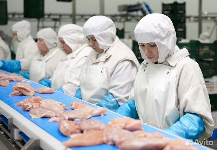 Вахта упаковщик мяса индейки / Шахты