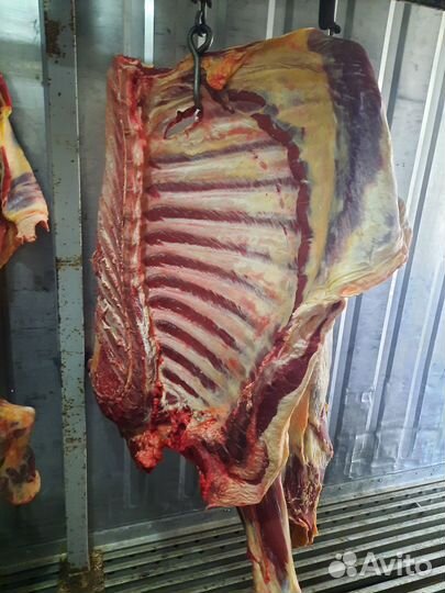 Говядина в полутушах