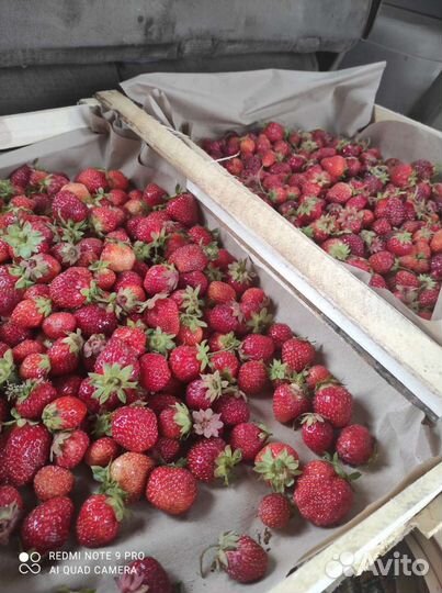 Клубника малина черника