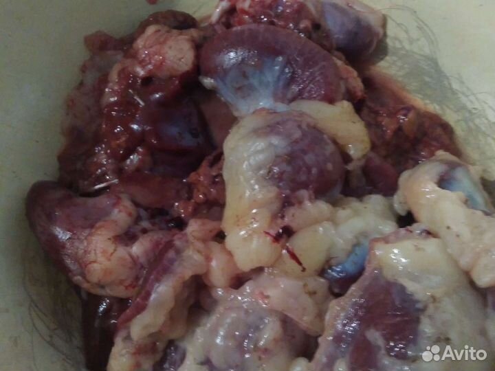 Куры бройлеры