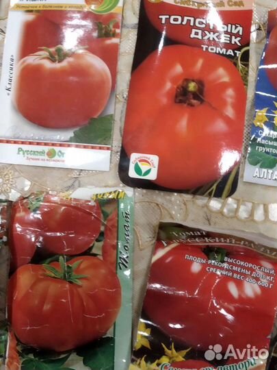 Вишня Владимировская, малина и цветы