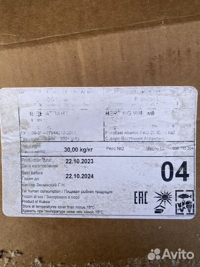 Сельдь атлантическая свежемороженная