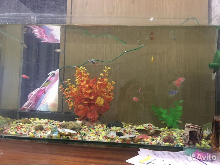Аквариум с рыбками