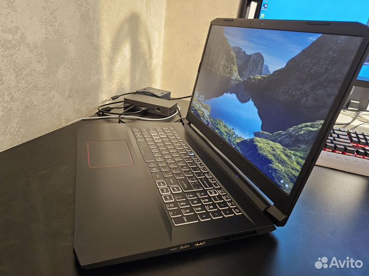 Игровой ноутбук Acer Nitro 5 (17,3 3060)