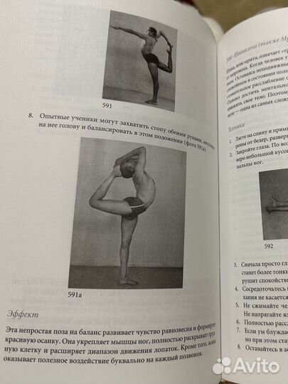 Йога Дипика