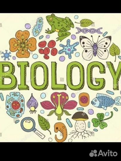 Репетитор по биологии егэ/огэ,кандидат наук