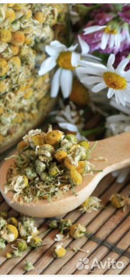 Ромашка аптечная