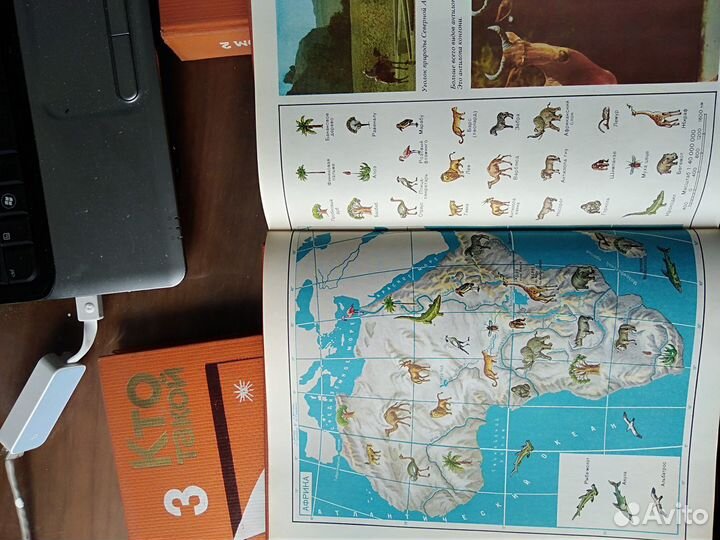 Детская энциклопедия